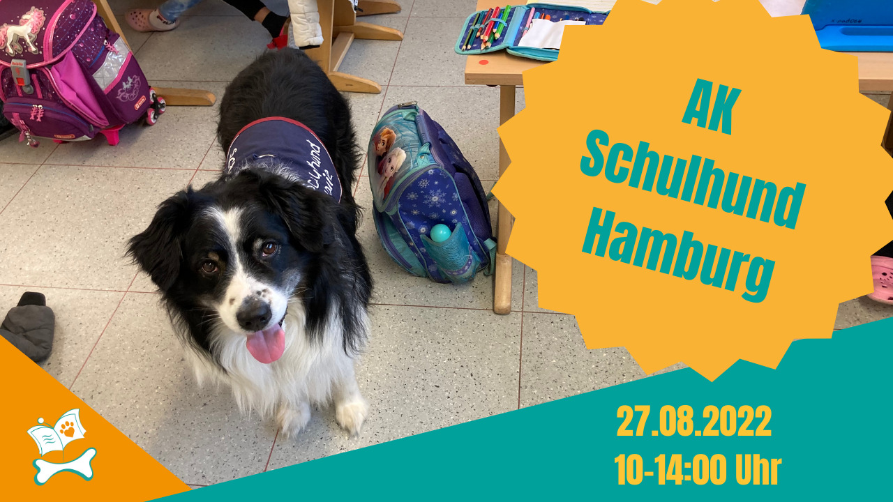 AK Schulhund Hamburg mit Louie