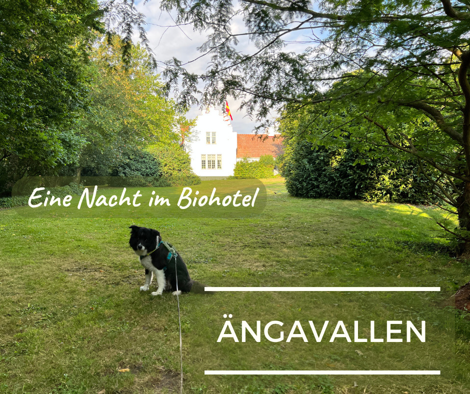 You are currently viewing Schweden mit Hund, Teil 2: Ängavallen