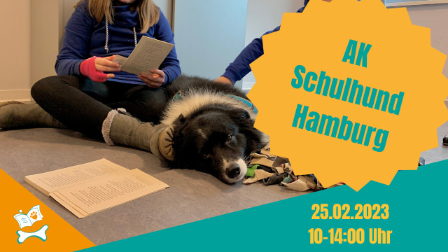 Hundetraining Hamburg Arbeitskreis Schulhund