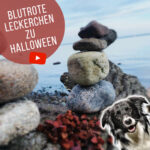 blutrote Lebeerwurstleckerchen Halloween Día de los muertos
