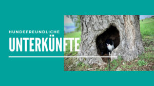 Read more about the article Hundefreundliche Unterkünfte
