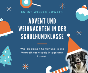 Schulhund Advent Weihnachten