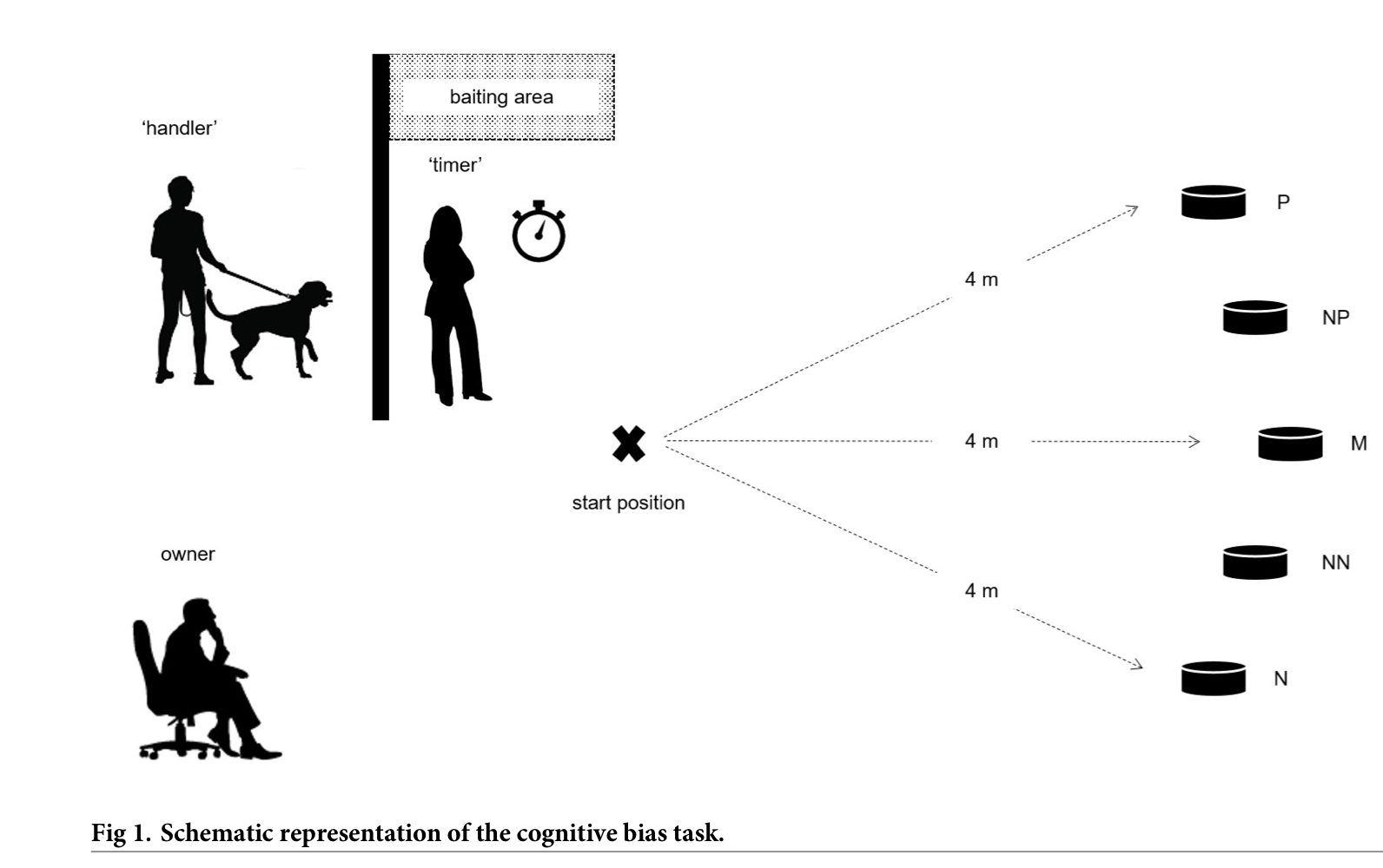Wohlbefinden und cognitive bias Hunden Castro
