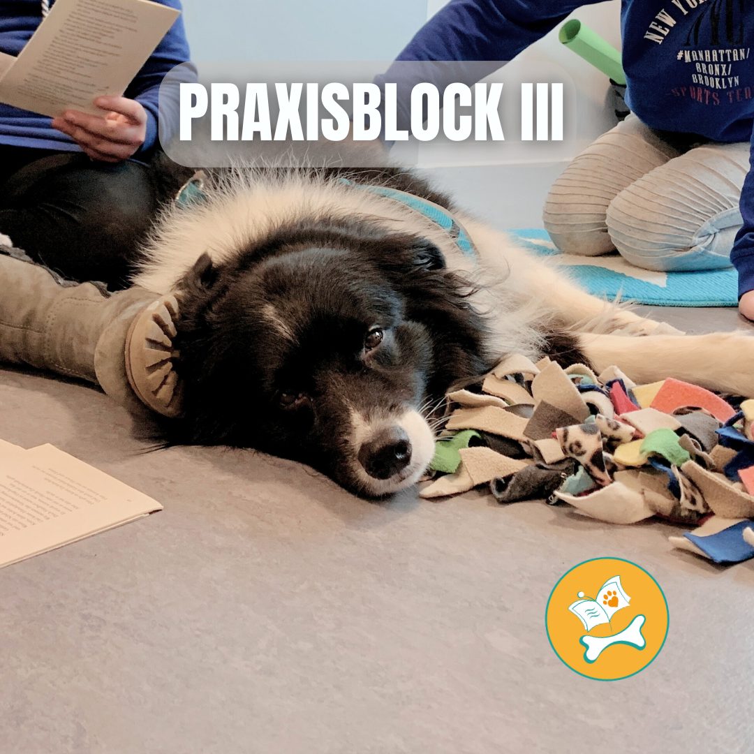 Praxisblock III Schulhundausbildung Schulhund
