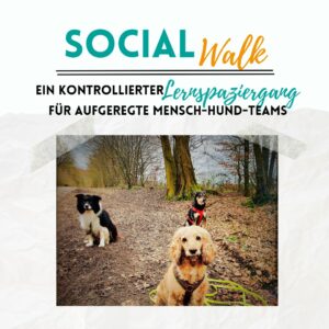 Social Walk