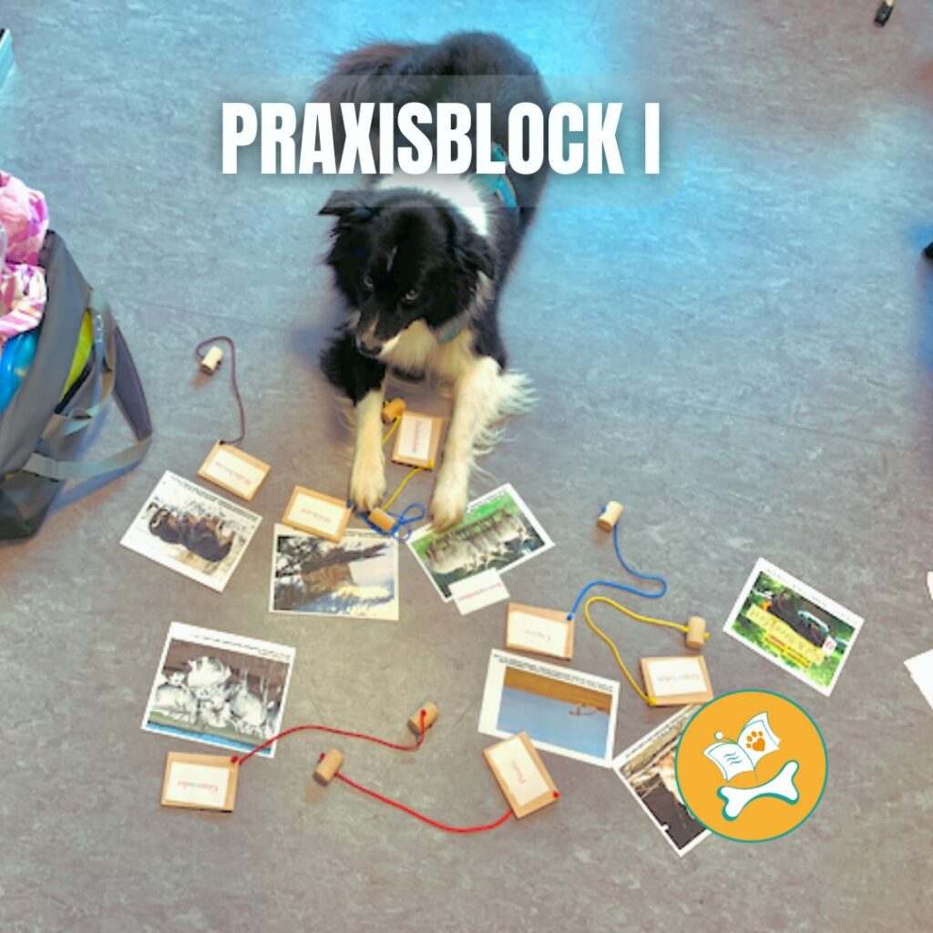 Praxisblock I steuerbefreit Nach 4 Nr 21 A Bb UStG PfotenHafen Praxisblock i steuerbefreit nach 4 nr 21 a bb ustg pfotenhafen