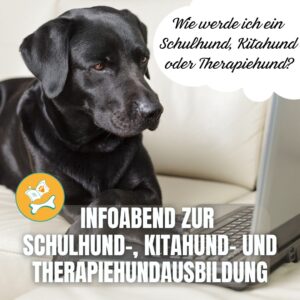 Infoabend: Wie wird mein Hund ein Schulhund, Kitahund oder Therapiehund?