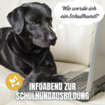 Infoabend zur Schulhundausbildung Schulhund-Team werden Schulbegleithund-Team werden