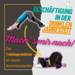 Machs mir nach Beschäftigung in der dunklen Jahreszeit Do as I do
