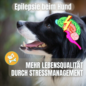 Webinar zur Epilepsie beim Hund: Stressmanagement und mehr Lebensqualität für Epifelle und ihre Bezugspersonen