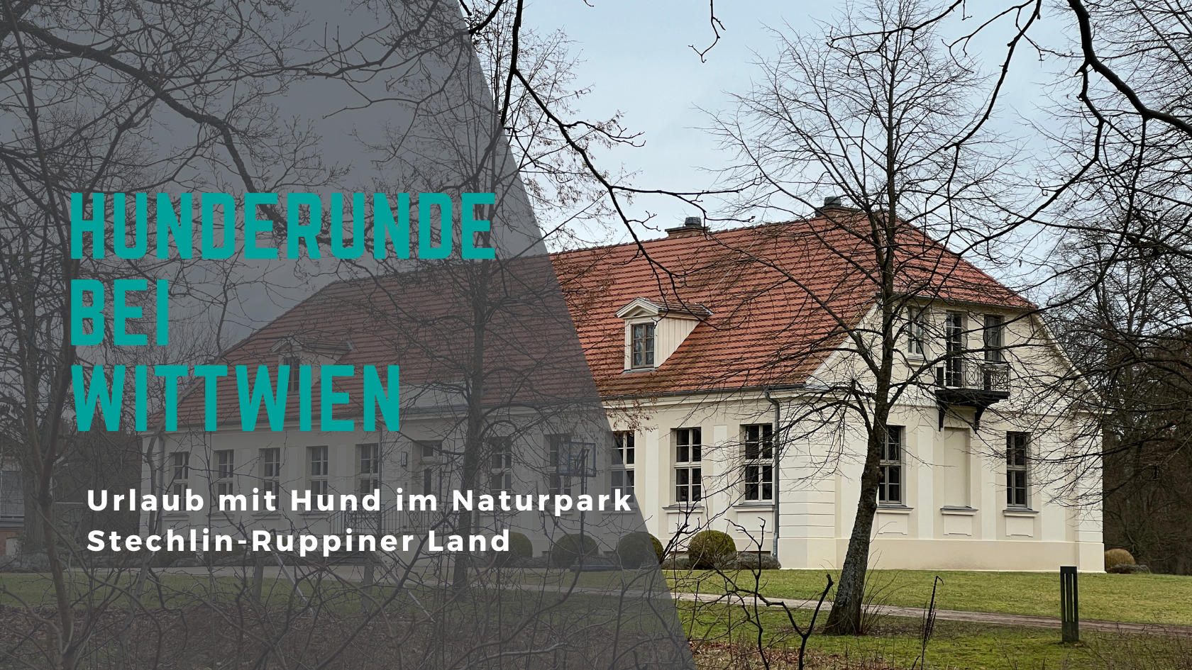 Read more about the article Eine Hunderunde bei Wittwien