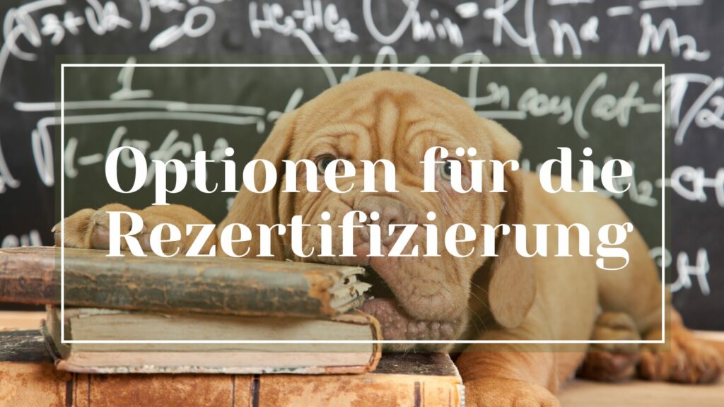 Rezertifizierung Schulhund Schulhundteaam Verlängerung Grundzertifikat
