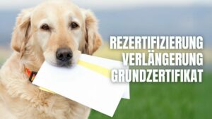 Rezertifizierung Verlängerung Grundzertifikat Schulhund Schulbegleithund Qualitätsnetzwerk Schulbegleithund