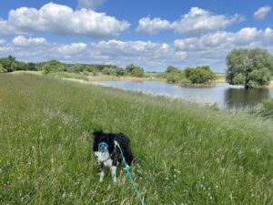 Gedenkstätte Stresow Aland-Elbe-Niederung Picknickplatz Schwimmen mit Hund Grenzgänge mit Hund Urlaub mit Hund Ausflug mit Hund