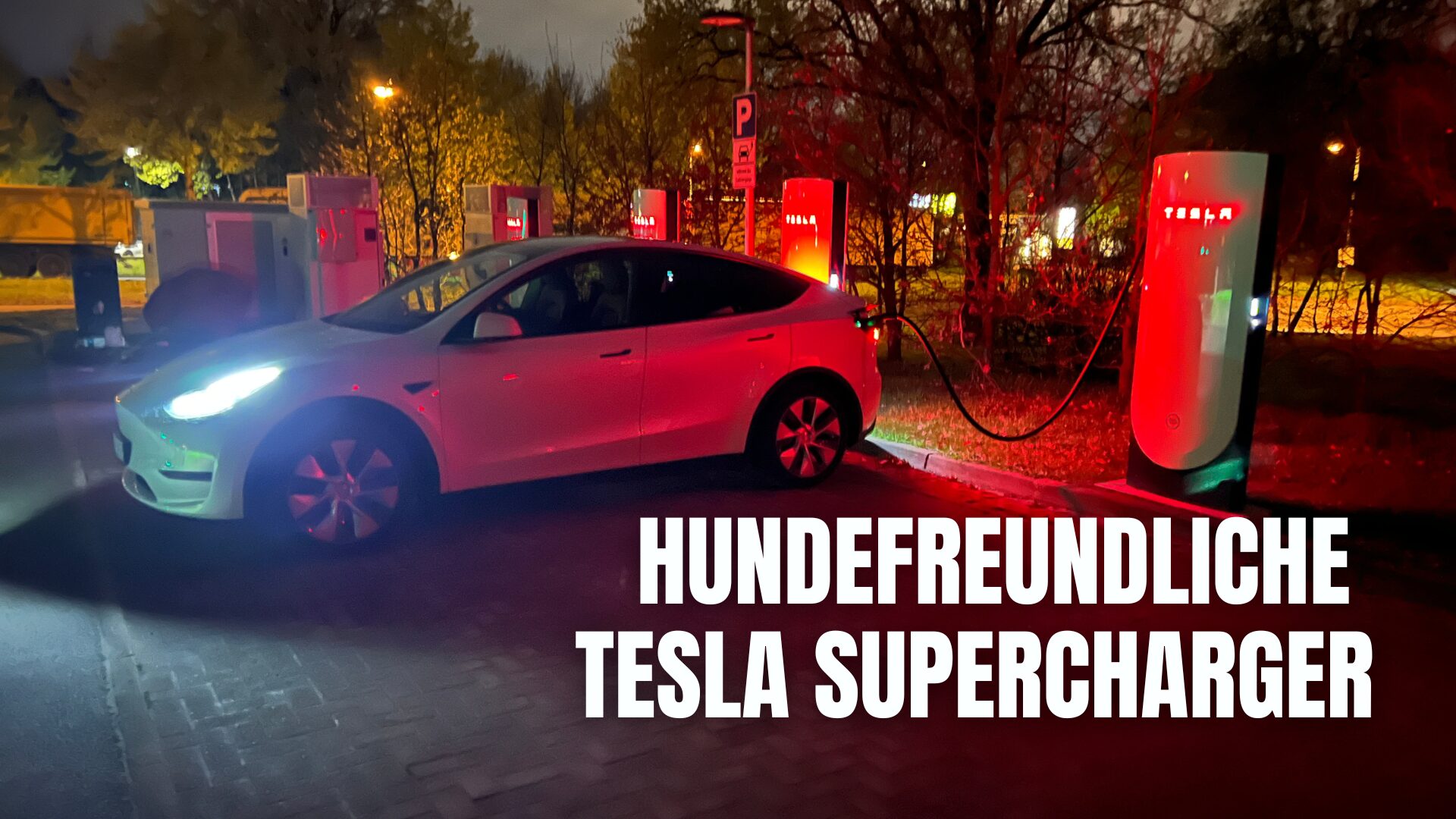 Tesla Supercharger hundefreundliche Supercharger hundefreundliche SuC