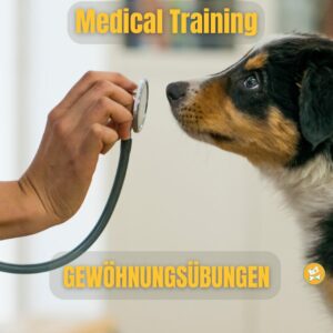 Medical Training – Live-Webinarkurs