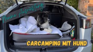 Ausrüstung für das Carcamping mit Hund