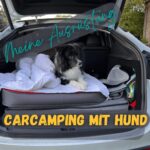 Carcamping mit Hund Ausrsüstung Tesla Model y Camp Mode