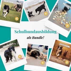 Das Komplett-Bundle für die Schulhundausbildung