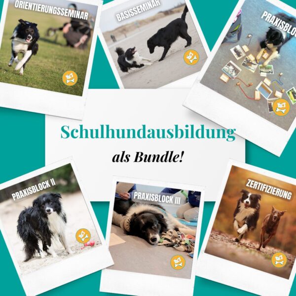 Schulhundausbildung Bundle