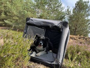 Der Käpt´n hat diverse Boxen, die alle gut angenommen sind. Hier die transportable Box von PetHome. 