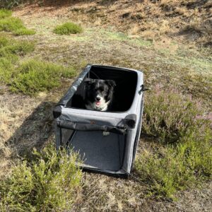 Bei sehr großen Hunden kann auf Boxen, die auch oben geöffnet werden können, zurückgegriffen werden. 