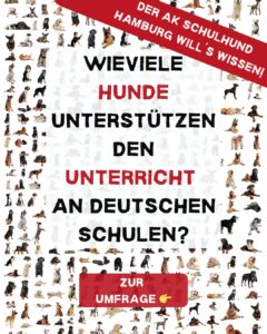 Umfrage zu Hunden an deutschen Schulen