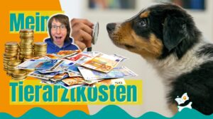 Meine Tierarztkosten 2024 Krankenversicherung für Hunde OP-Versicherung für Hunde