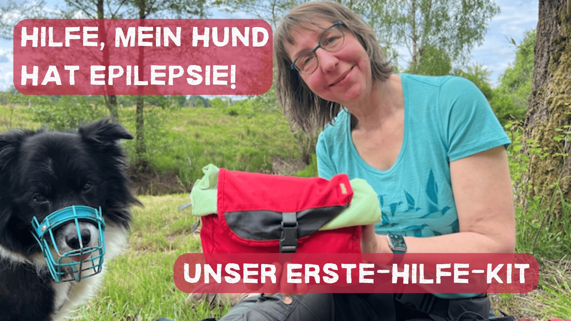 Epilepsie beim Hund, Notfall-Kit Hund, IFAK Hund, Erste Hilfe Hund, Epilepsie Notfallset