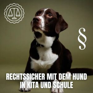 Rechtssicher mit dem Schulbegleithund in Schule und Kita – Webninar