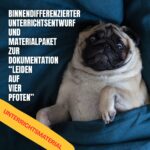 Leiden auf vier Pfoten Qualzucht Unterrichtsmaterial Unterrichtspaket Materialpaket Tierschutz Unterricht Tierleid