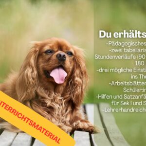 Unterrichtsmaterialien zur Dokumentation “Leiden auf vier Pfoten”