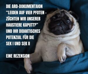 Die Dokumentation „Leiden auf vier Pfoten – Züchten wir unsere Haustiere kaputt?“ im Unterricht