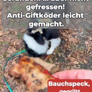Lass das Schulbrot! | Der Selbstlernkurs [Digital] – Bild 3