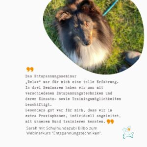 Entspannungsteschniken für Familienhunde, Schulhunde, Kitahunde, Therapiehunde und Hunde mit Epilepsie