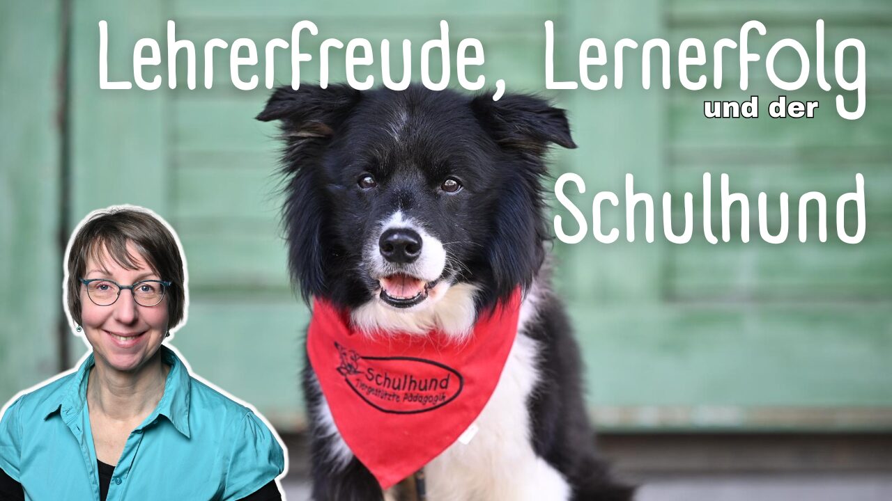 Lehrerfreude, Lernerfolg und der Schulhund YouTube Lehrerlaune Gute Laune Lehrer Pfeifer, Lüdtke, Klusmann und Frenzel (2026) Schulhundausbildung Hamburg Lehreremotionen Unterrichtsqualität