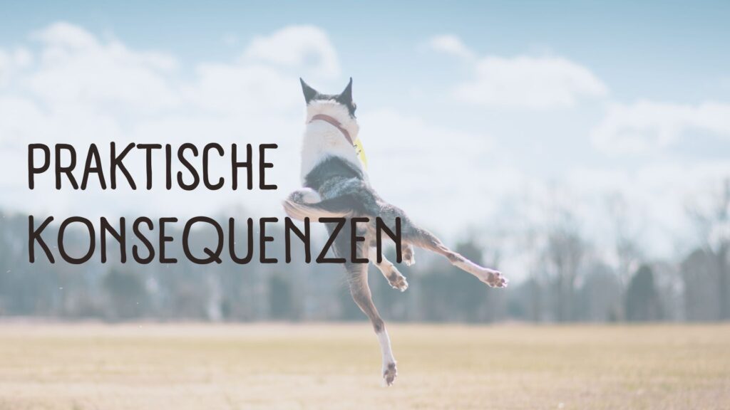 Freude Lernerfolg
hundegestützte Pädagogik
Schulhundaurbeit
Hund im Klassenzimmer
Lehreremotionen Unterrichtsqualität
tiergestützte Pädagogik Schule
Schulhundausbildung Hamburg
Lehrerlaune