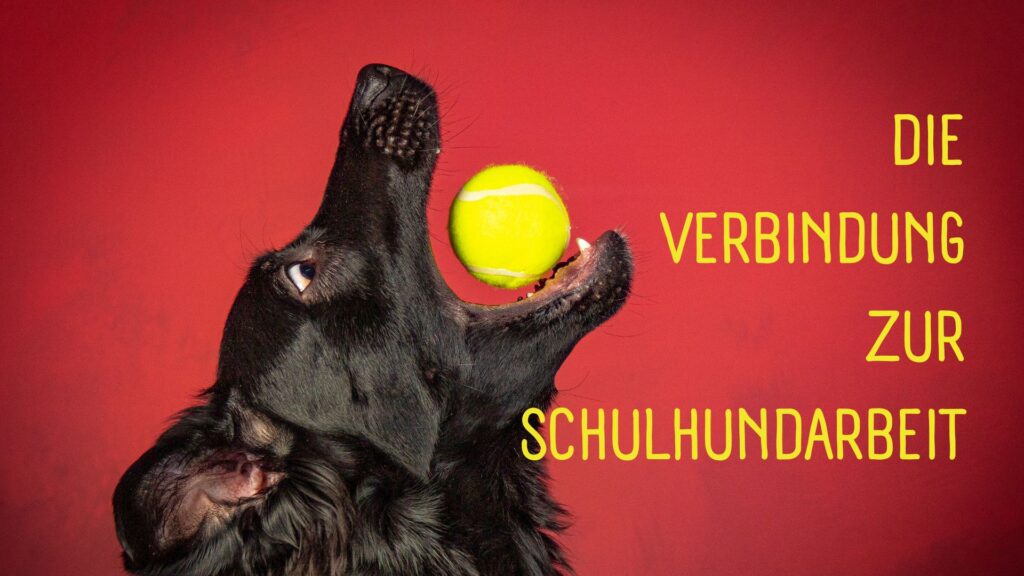 Freude Lernerfolg
hundegestützte Pädagogik
Schulhundaurbeit
Hund im Klassenzimmer
Lehreremotionen Unterrichtsqualität
tiergestützte Pädagogik Schule
Schulhundausbildung Hamburg
Lehrerlaune