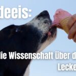 Hundeeis - Was die Wissenschaft zur kühlenden Leckerei für deinen Hund sagt.