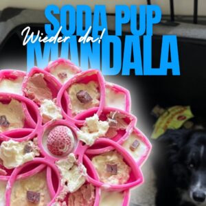 Mandala Tray von SodaPup – Genuss mit Köpfchen