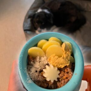 West Paw Toppl Produktbild Rezept