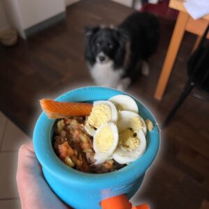 West Paw Toppl Produktbild Rezept