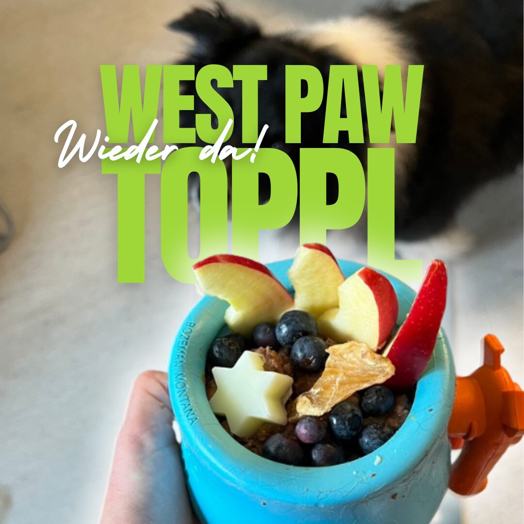 West Paw Toppl Produktbild