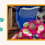 Easy Rezept für Hundeeis Hüttenkäse Fruchtpürree Gurke
