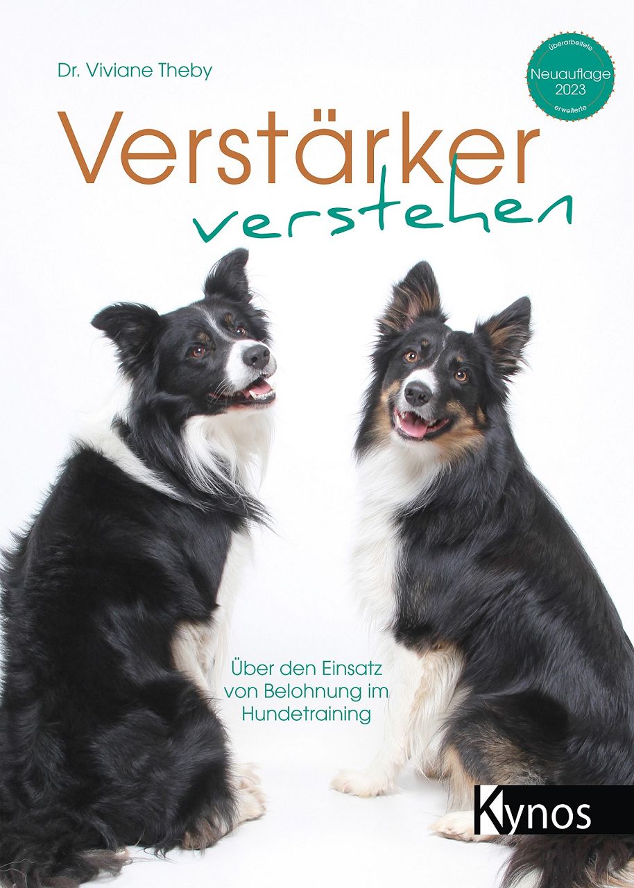Viviane Theby Verstärker verstehen Buchcover