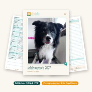 Anfallstagebuch bzw. Epilepsietagebuch 2027 für Hunde mit Epilepsie – PDF für Papier oder Tablet [Digital] – Bild 1